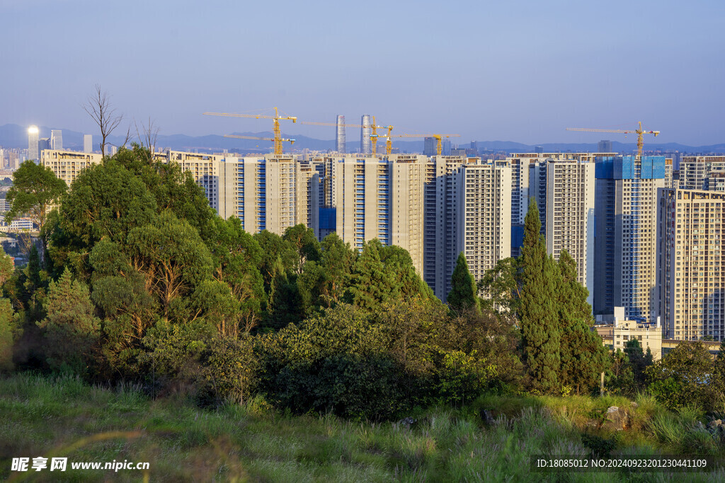金色的建设工地