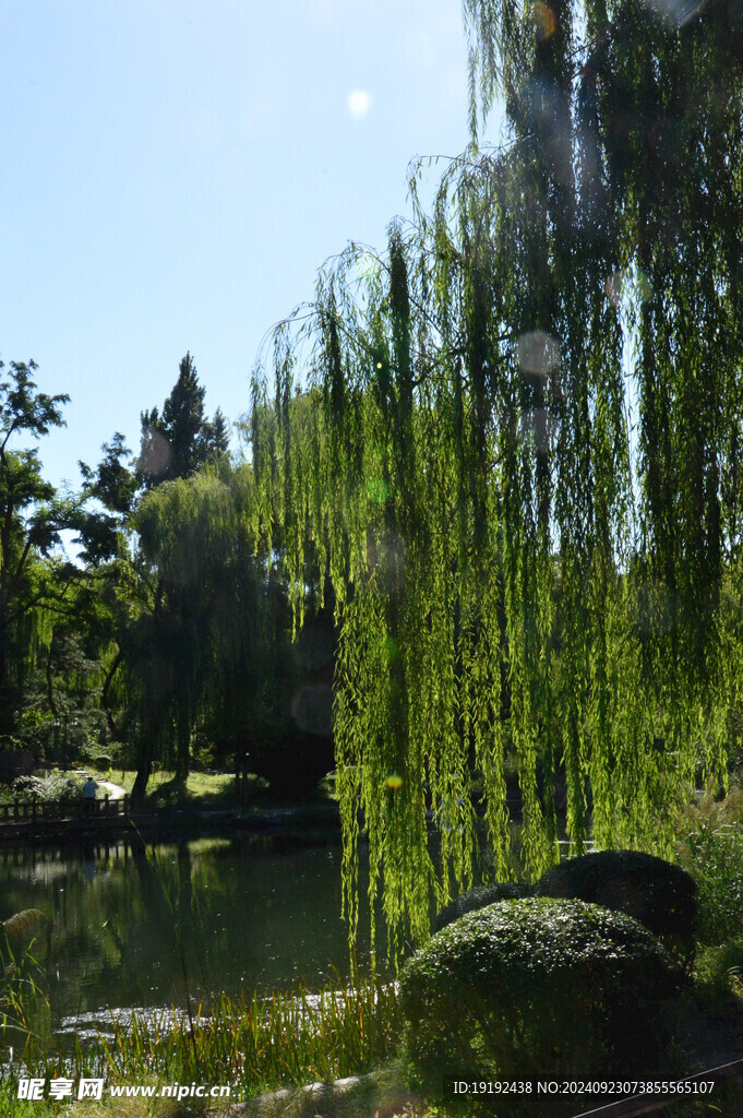 公园风景 