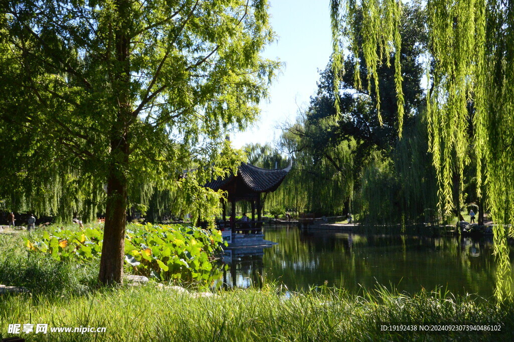 公园风景 