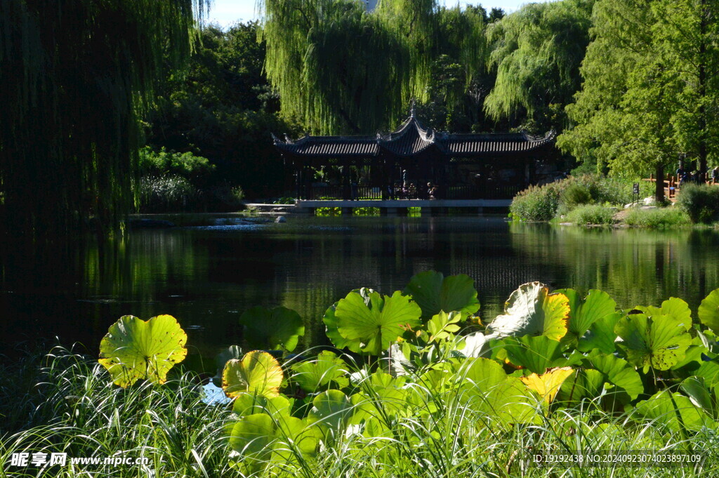 公园风景  