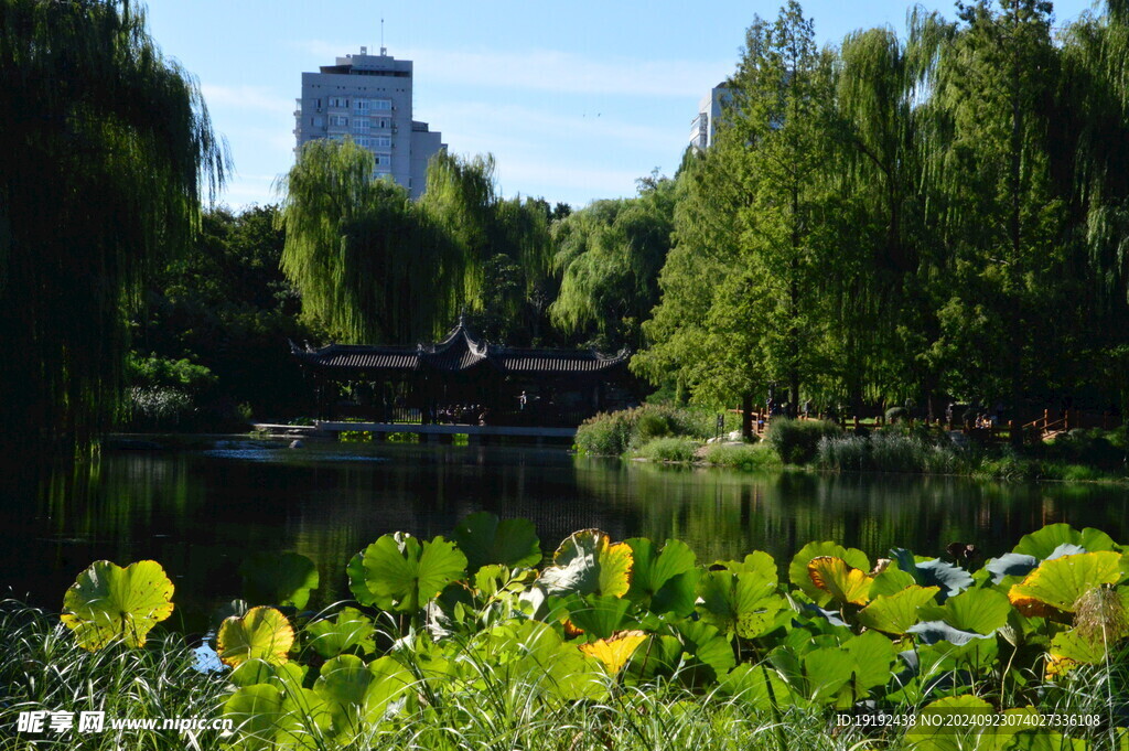 公园风景 