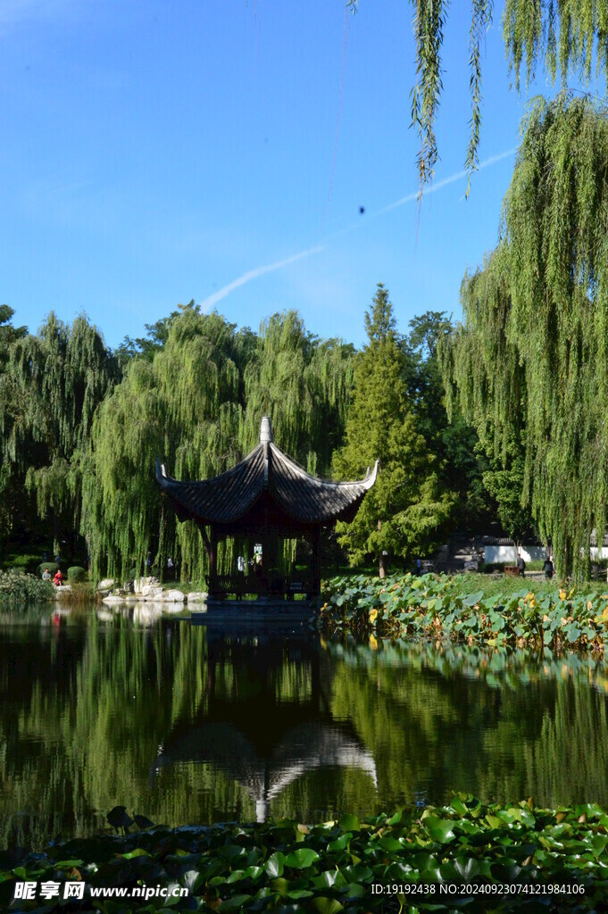 公园风景 