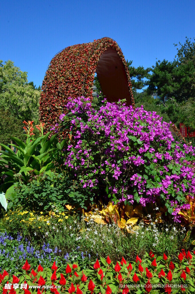 花坛风景 