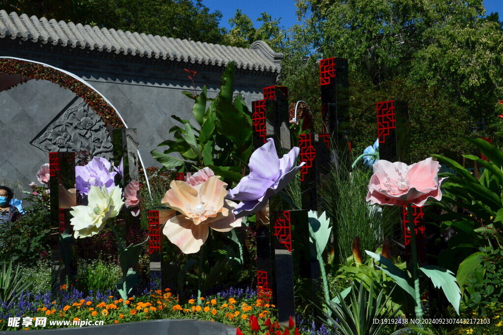 花坛风景  