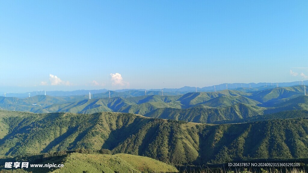 大青山