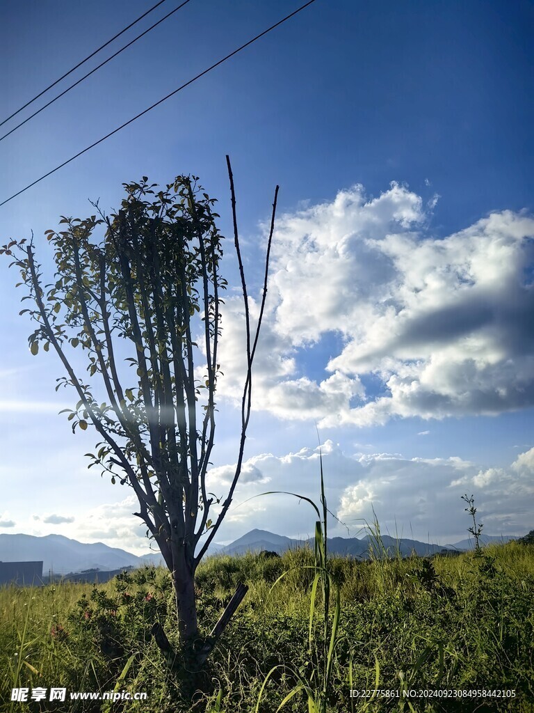 肇庆马路风景景色