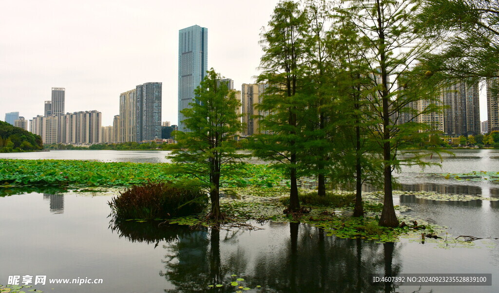 长沙城市公园