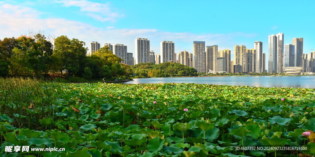 长沙城市公园美景