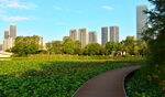 长沙城市公园