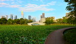 城市公园美景