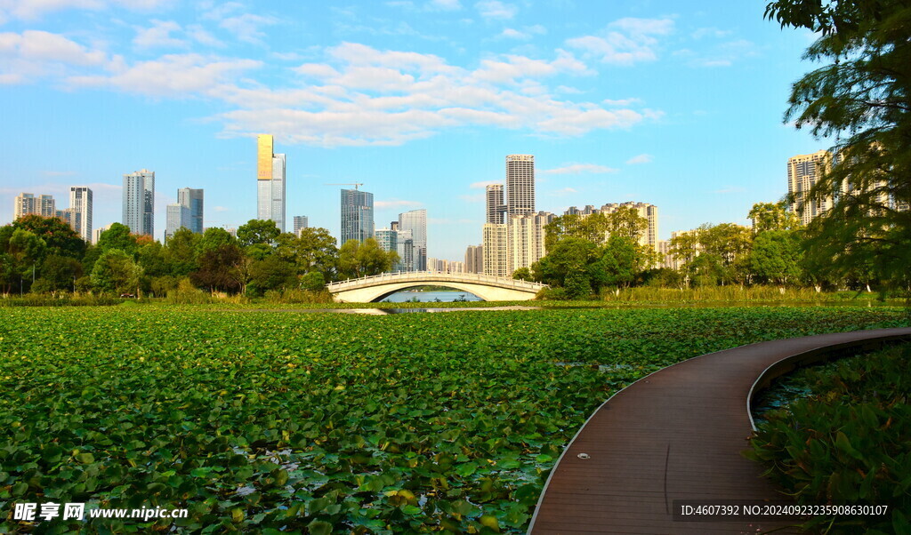 城市公园美景