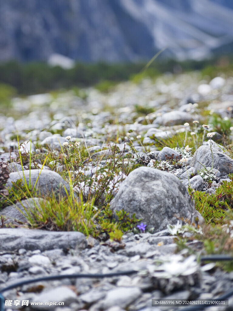 石头背景