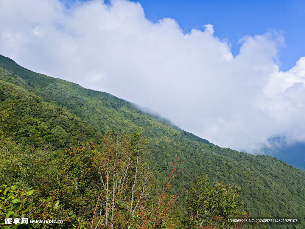 高山斜坡