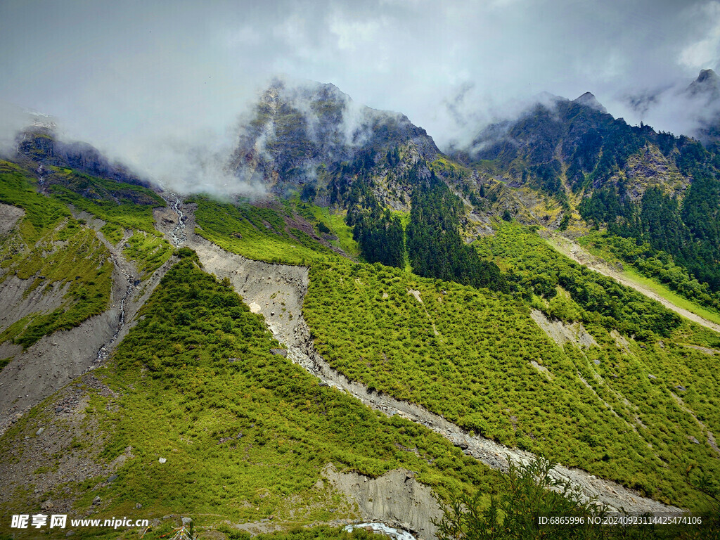 高山森林