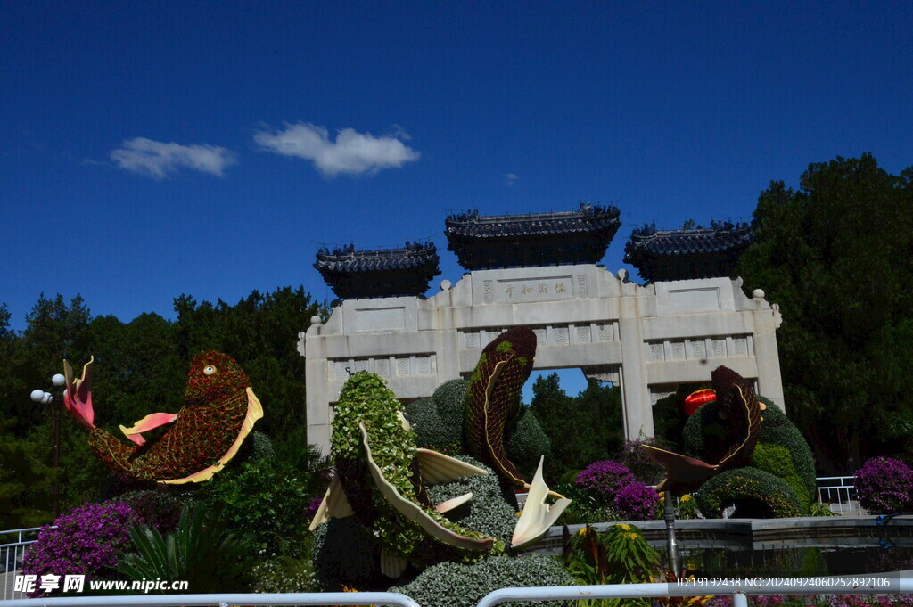 花坛风景  