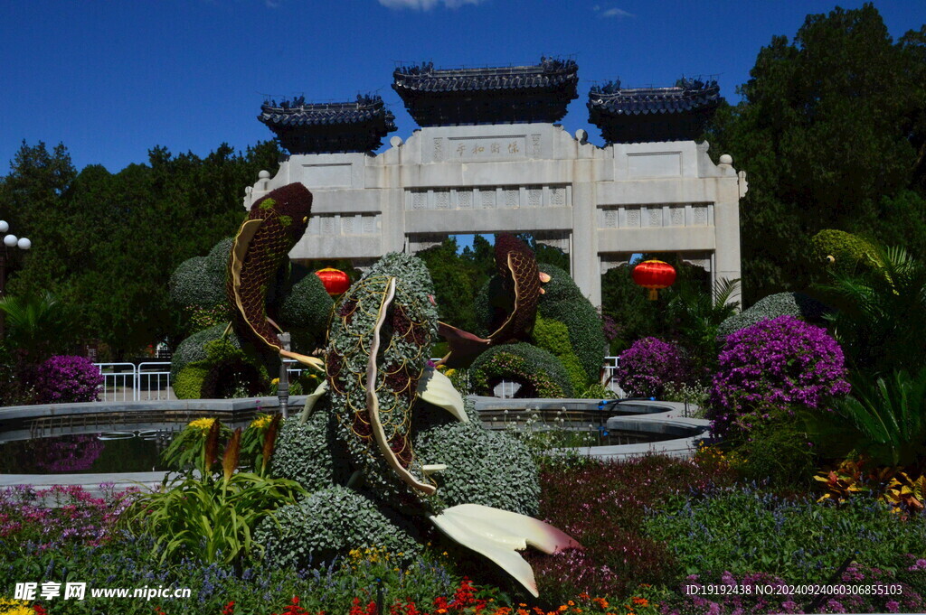 花坛风景  