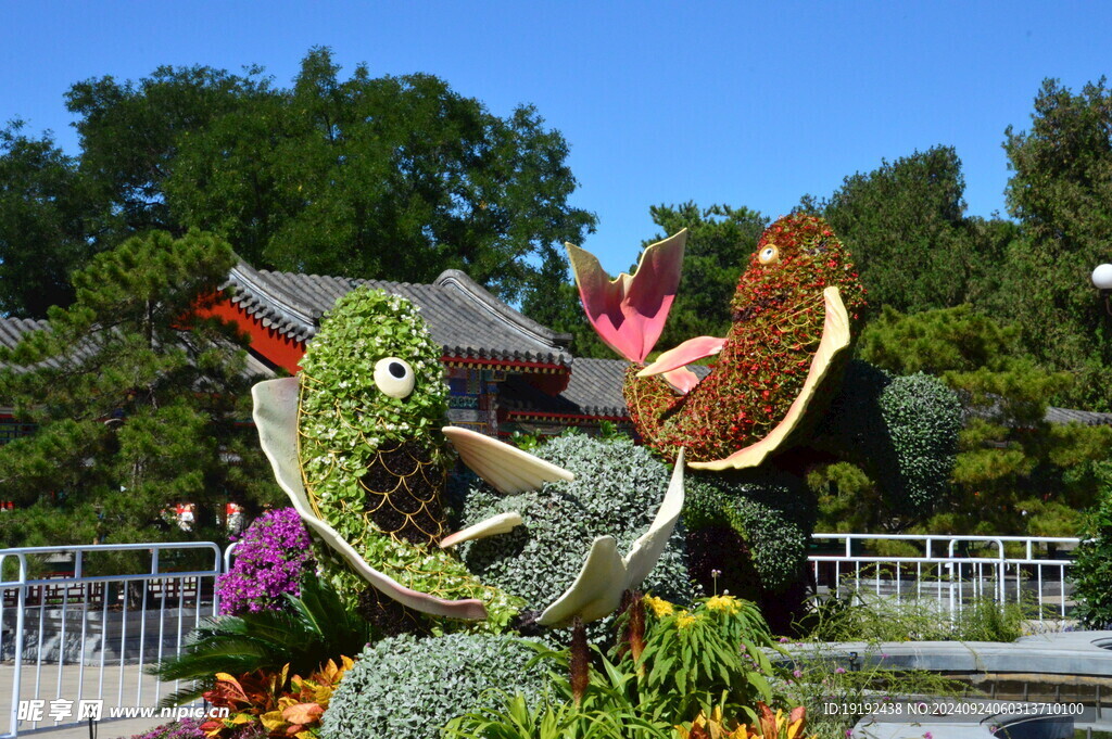 花坛风景  