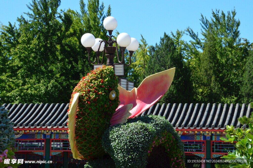 花坛风景  