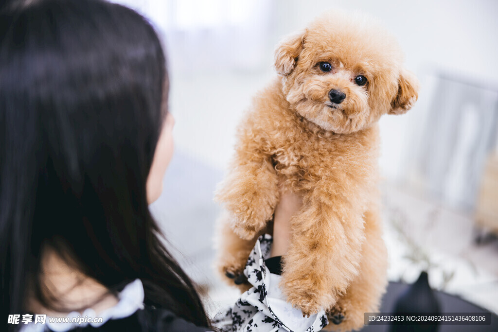 狗