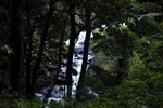 天台山小溪