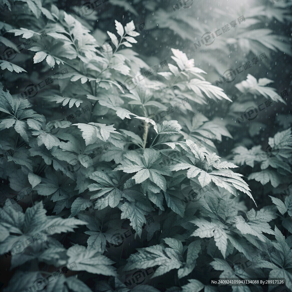 朦胧北欧绿植叶子