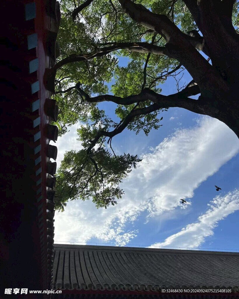 天空