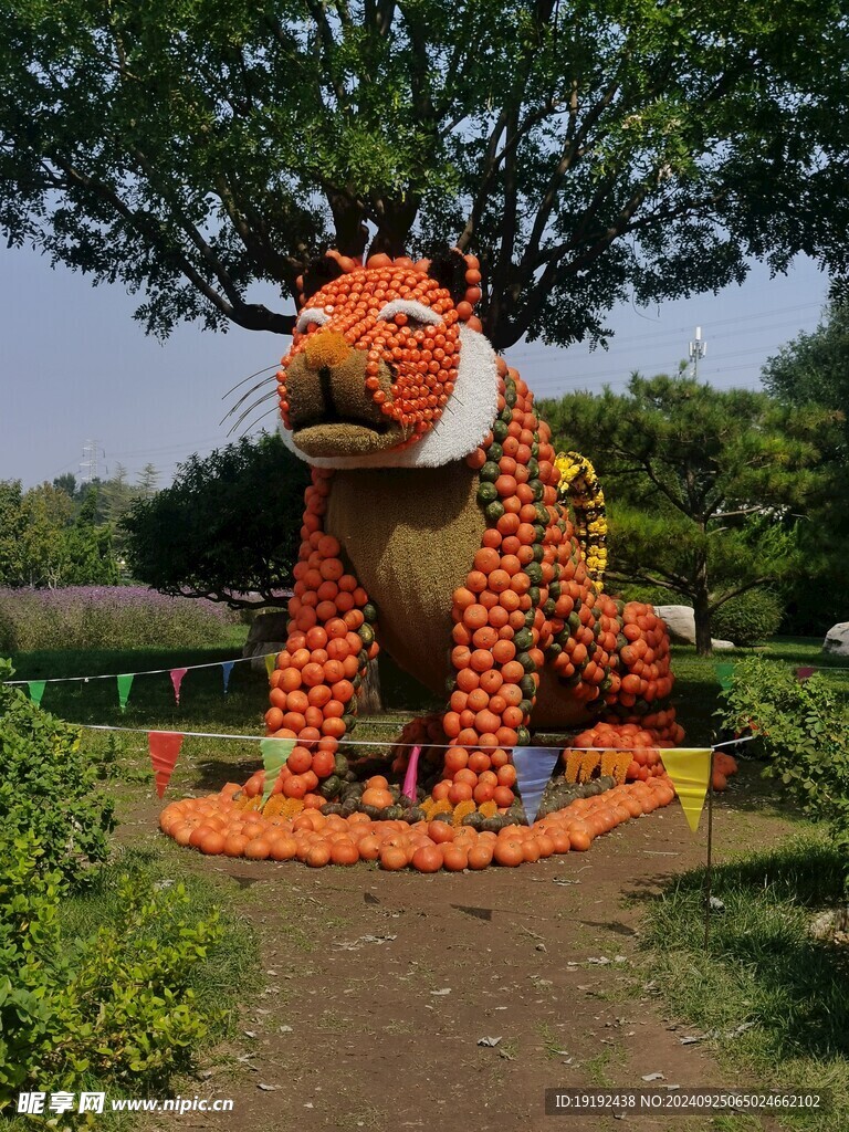 南瓜艺术节  