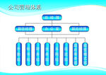 公司管理体系