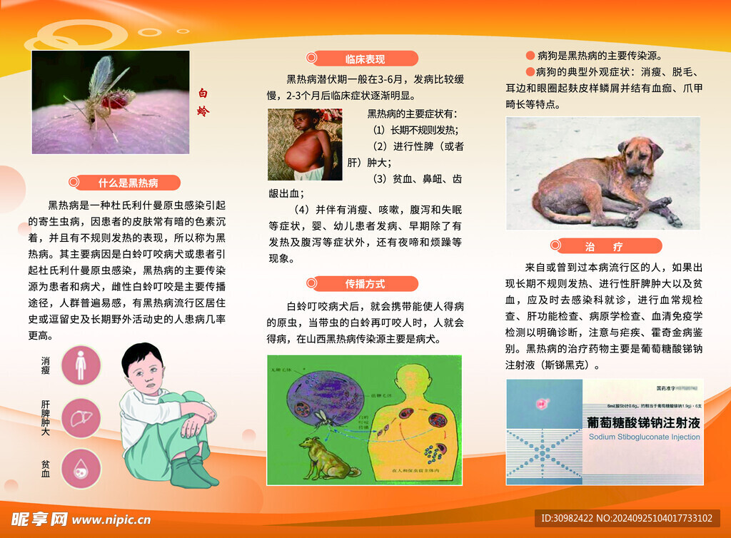 黑热病宣传