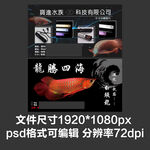 水族观赏鱼产品介绍LED海报