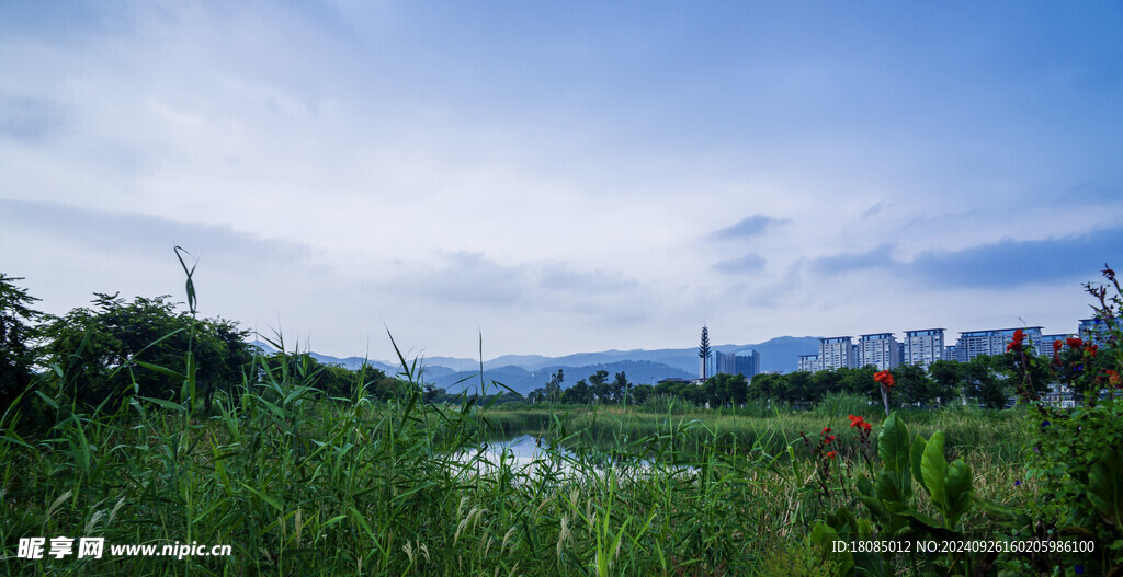 水草远山