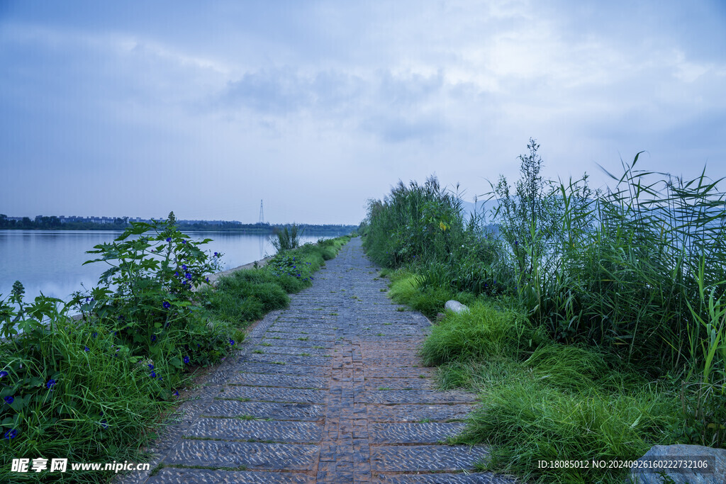 道路