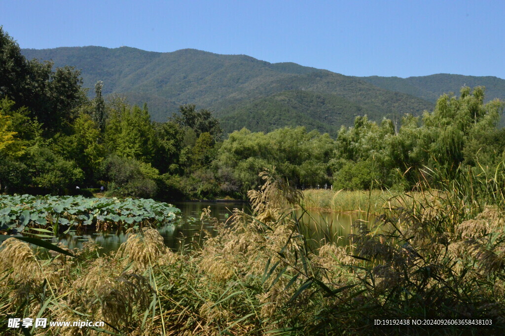 公园风景 