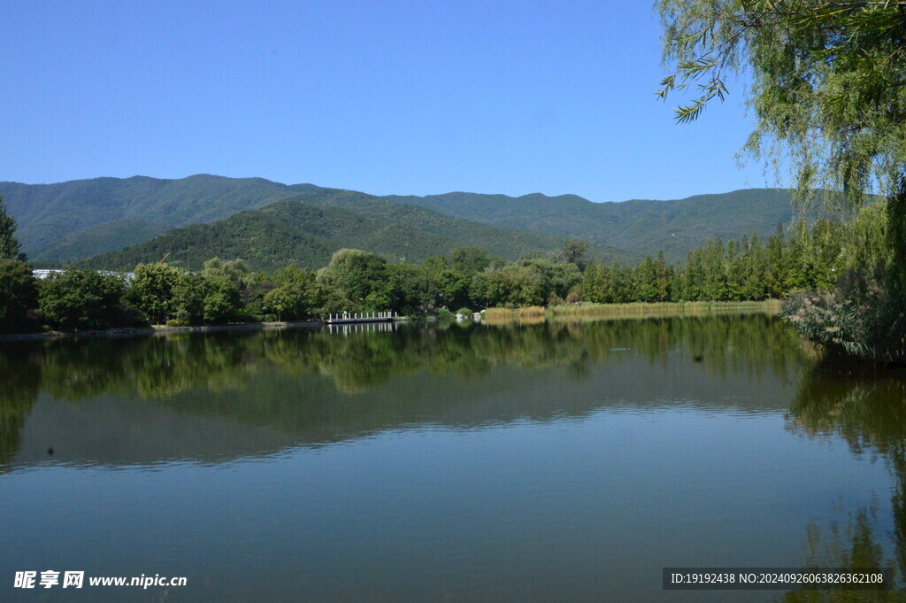 公园风景 植物园风景 山峦  