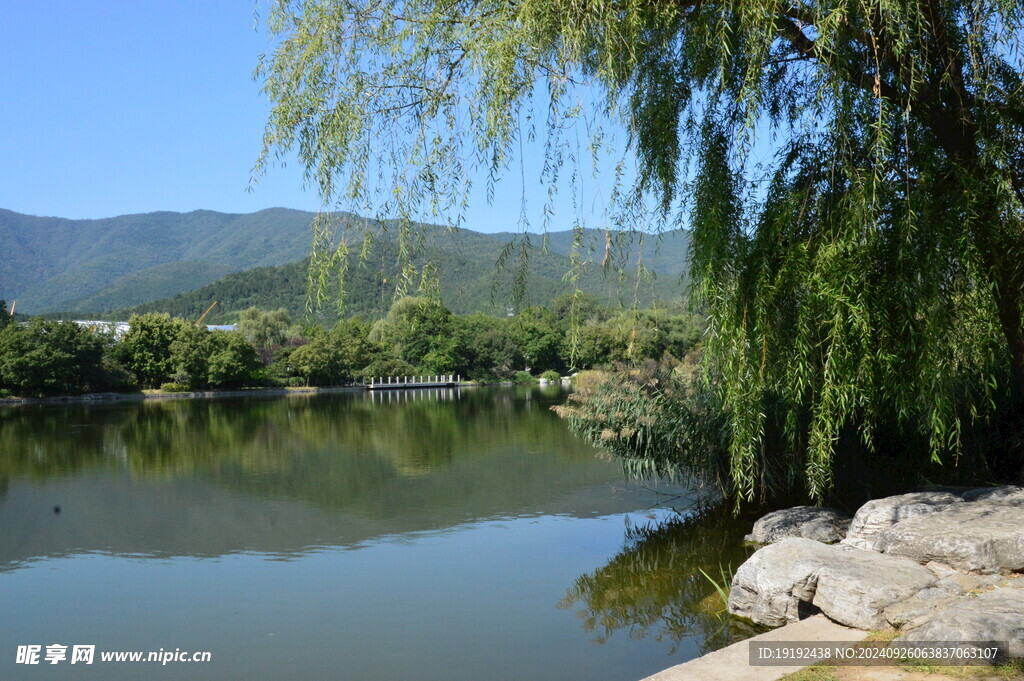 园林风景 