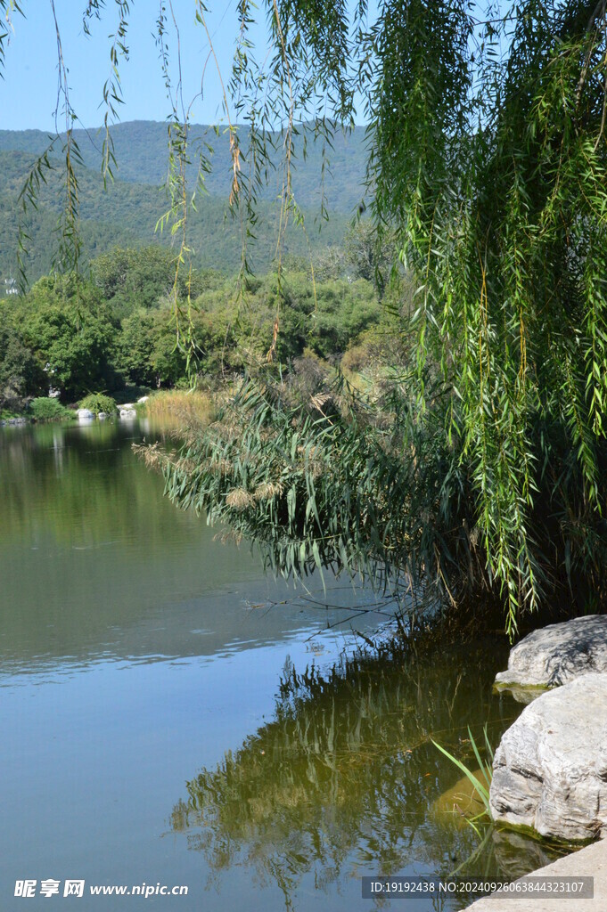 公园风景  