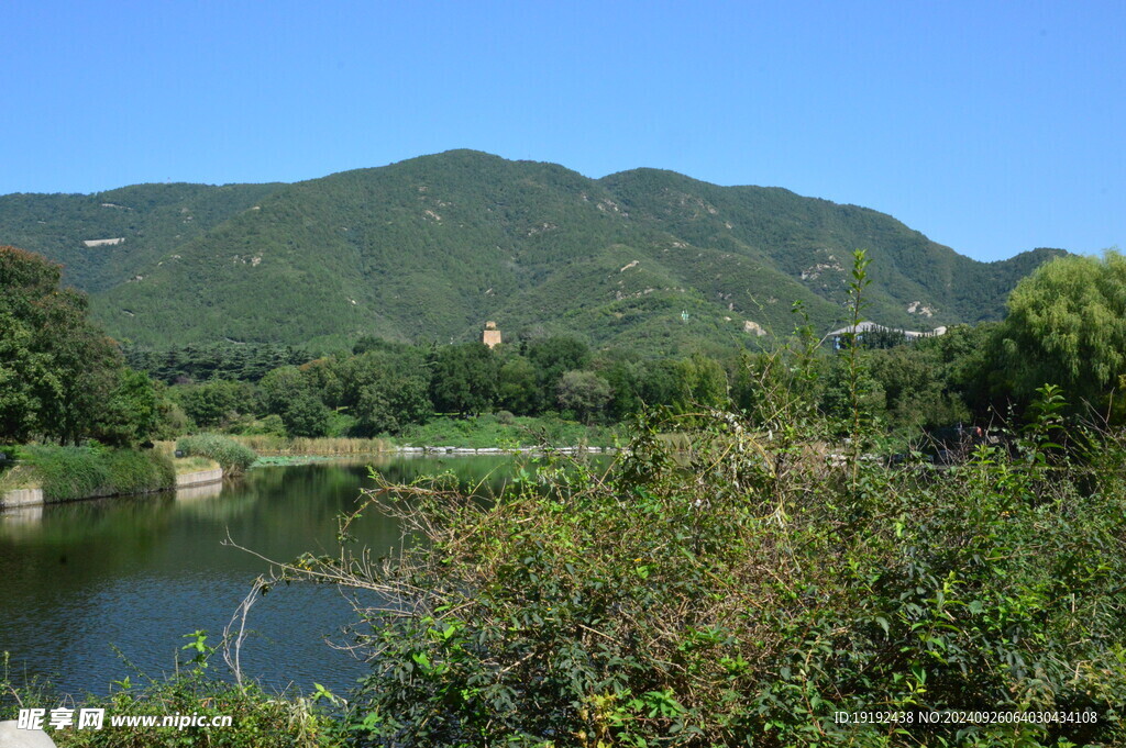 植物园风景  