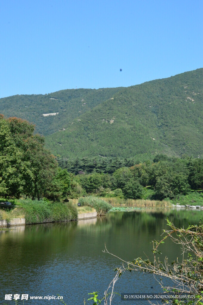 园林风景  