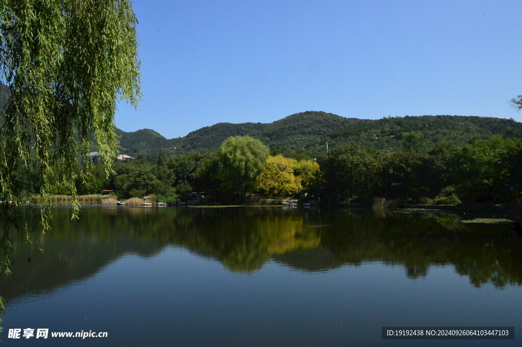 植物园风景 