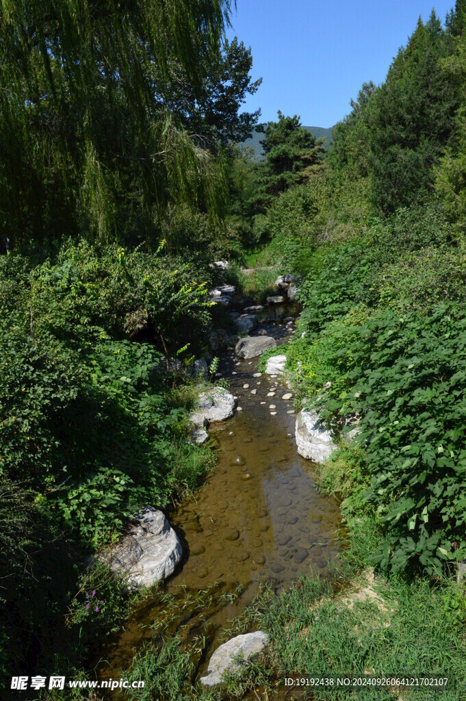 园林风景  