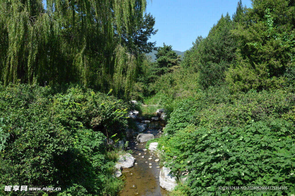  植物园风景 