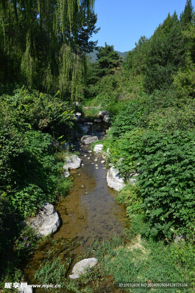 植物园风景  