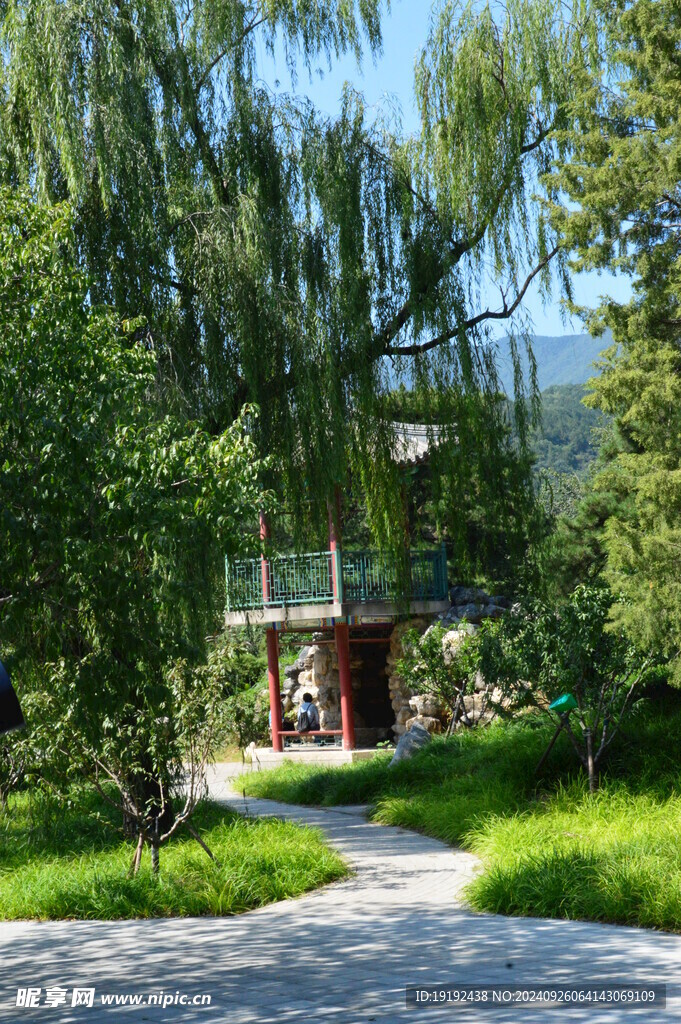 植物园风景 