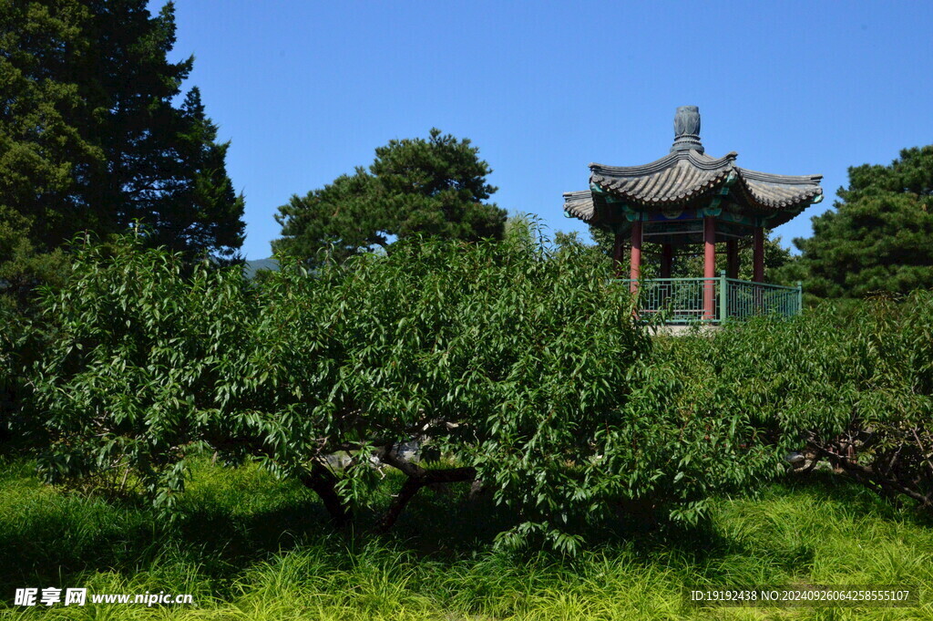 植物园风景  