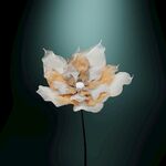 C4D模型 花 