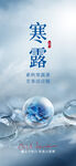 传统节气寒露二十四节气海报
