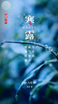 寒露图片