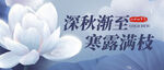 寒露图片