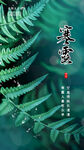 寒露图片
