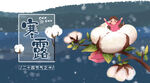 寒露图片